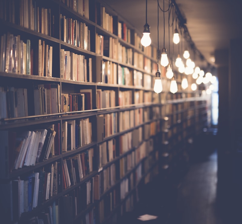 Library shelves filled with books
